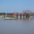 IMG_1375