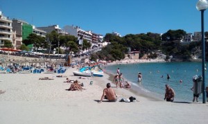 Imag0337